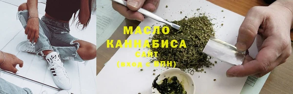 дмт Инсар