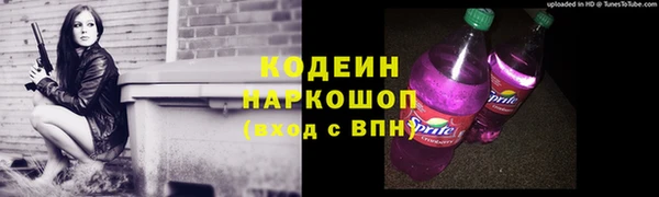 дмт Инсар
