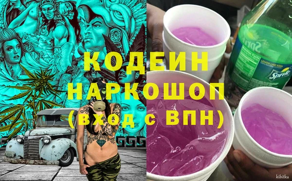 дмт Инсар