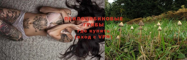 дмт Инсар