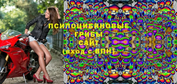 дмт Инсар