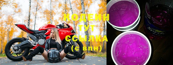 дмт Инсар