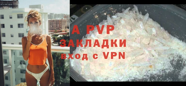 дмт Инсар