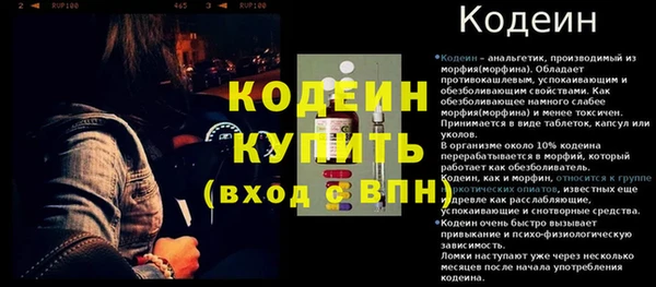 дмт Инсар